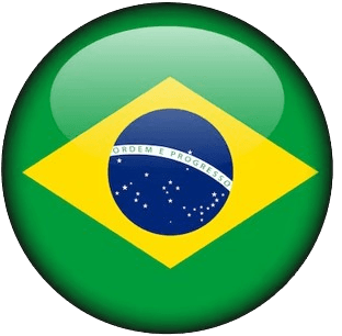 brazil cv